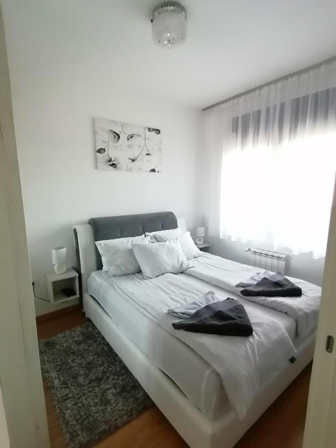 Apartman Gallery Square - Pupin Palace Daire Novi Sad Dış mekan fotoğraf